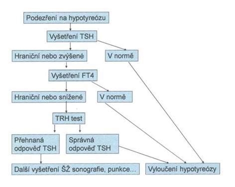 schematický postup pečenia husi