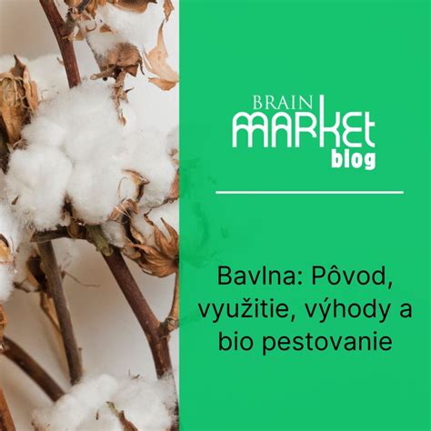 Zaujímavosti o batátoch - ich pôvod a pestovanie