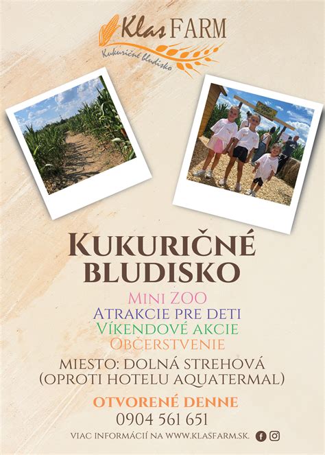 Výber správnych kukuričných klasov