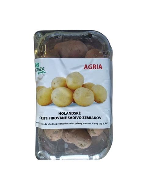 Zemiaky Agria na poli