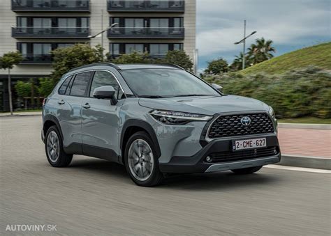 Porovnanie kostihoja s alternatívnymi bylinami