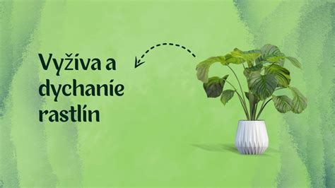 Prírodné roztoky na stimuláciu klíčenia
