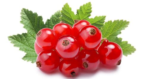 Červené ríbezle v miske