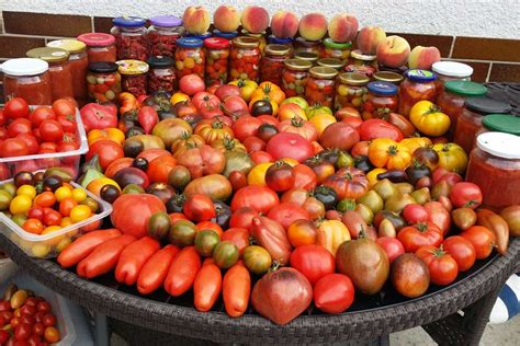 Záhradná úroda paprík a paradajok na stôl