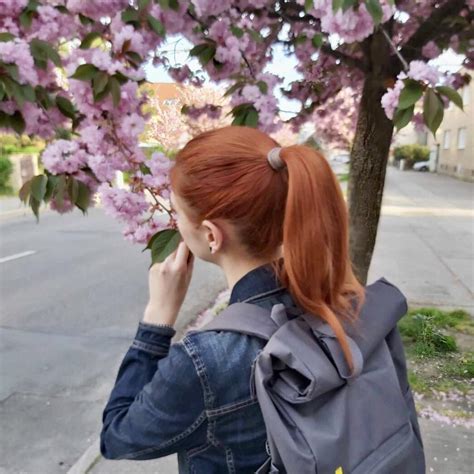 Bohatá ovocná vrstva na nepečenom cheesecaku