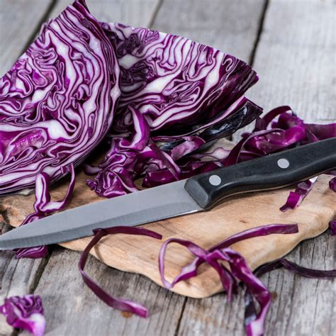 Koláž rôznych variantov dusenej kapusty a jedál