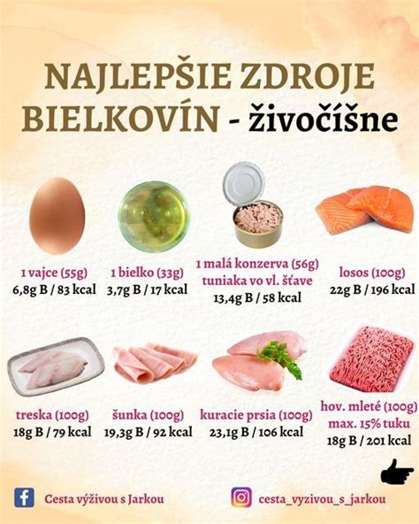 Živočíšne zdroje bielkovín
