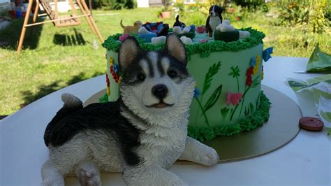 Psia torta ozdobená zemiakovou kašou a zeleninou