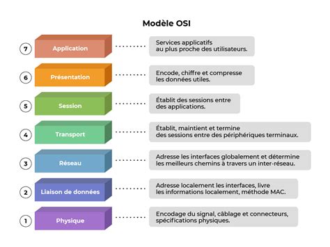 Schéma osi mozog-črevo