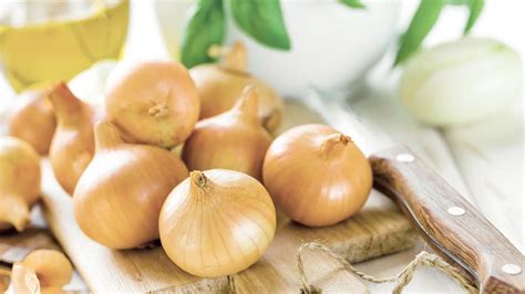 Cibuľa a cesnak ako základ omáčky