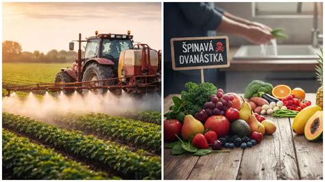 Rebríček najmenej kontaminovanej zeleniny a ovocia