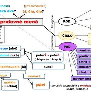 Infografika: Zhoda prídavných mien s podstatnými menami v rode