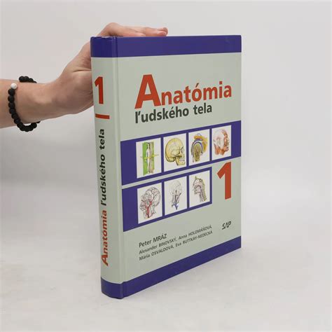 anatomia ludskeho klbu a priebeh zapalu