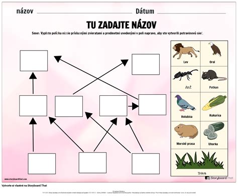 infografika rôznych druhov potravín pre detské pracovné listy