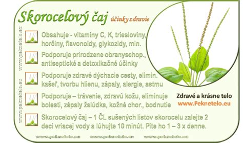 Tipy na použitie skorocelu