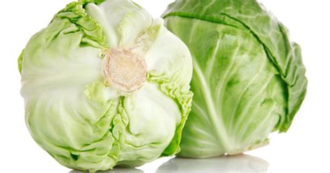 Ilustrácia pestovania kapusty v nádobách