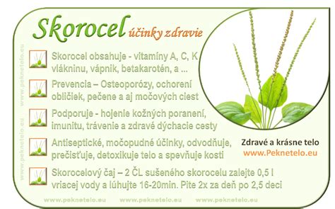 Skorocel na rany