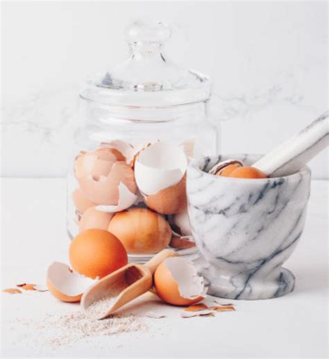 Schéma spracovania vaječných škrupín na prášok