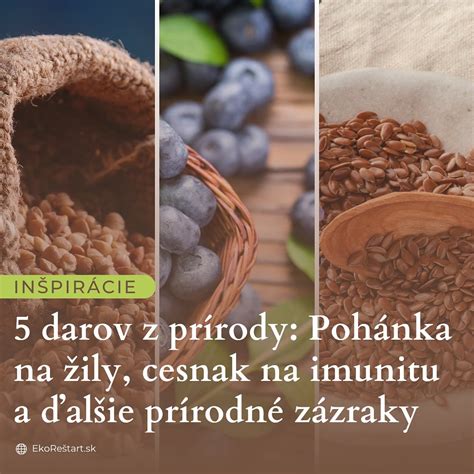 Infografika: Benefity celozrnného chleba pre zdravie (srdce, trávenie, energia)