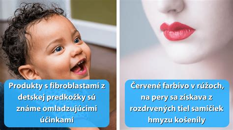 Prehľad rizikových prísad v zmrzlinách