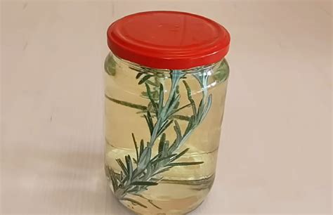 Čerstvé vetvičky rozmarínu