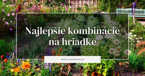 Ilustrácia kompatibility rastlín v zeleninovej záhrade