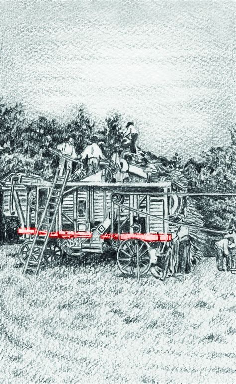 Ilustrácia ryžového poľa