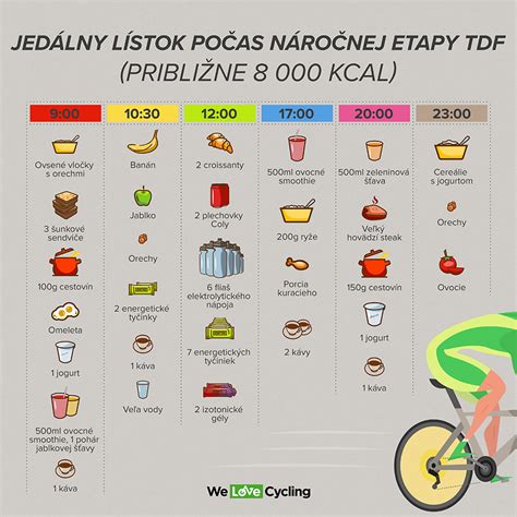 Infografika metabolických cyklov počas dňa