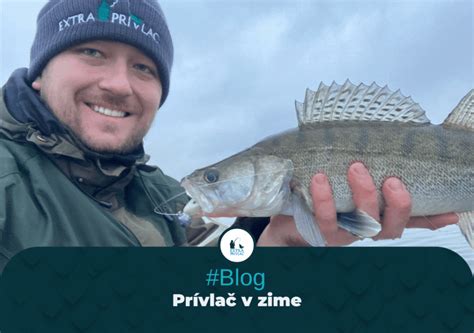 Rybolov zubáča na prívlač