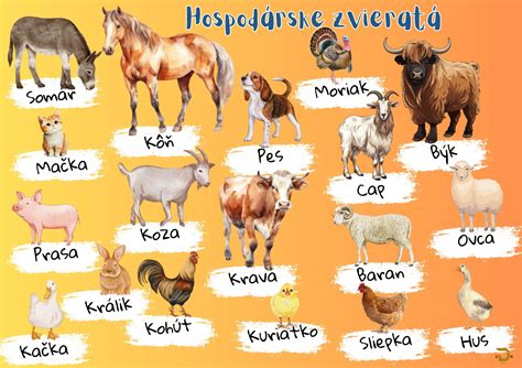 Stredoveké hospodárske zvieratá
