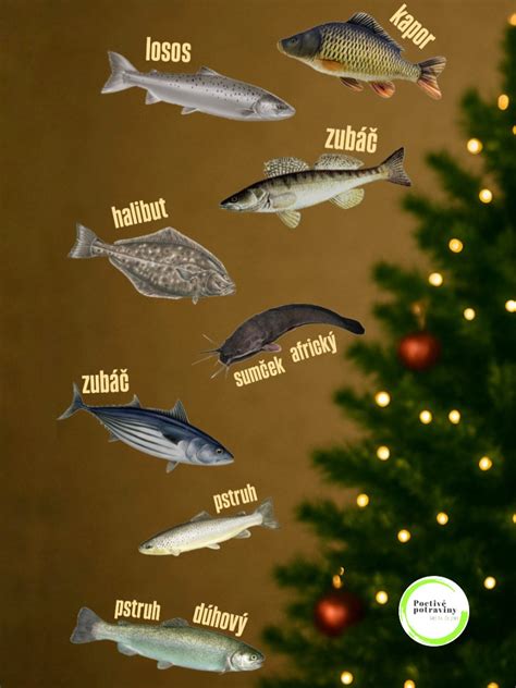 Rôzne druhy rýb vhodné pre deti, napríklad losos, treska, zubáč