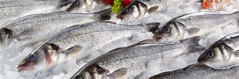Čerstvé ryby na ľade v obchode