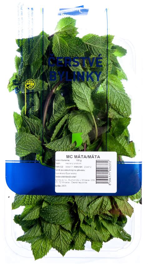 čerstvá mäta