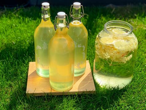 Domáci bazový sirup v fľašiach