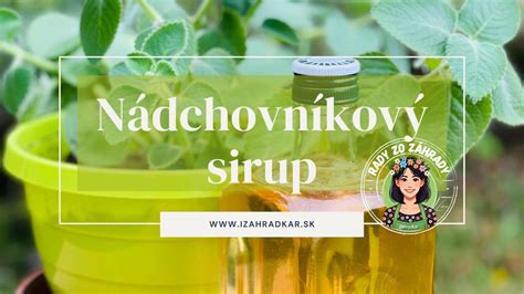 zložky na domácu prípravu bylinkového sirupu