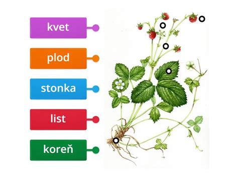 Schéma parného hrnca s popisom funkcií