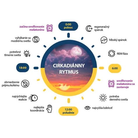 Cirkadiánny rytmus a vplyv svetla