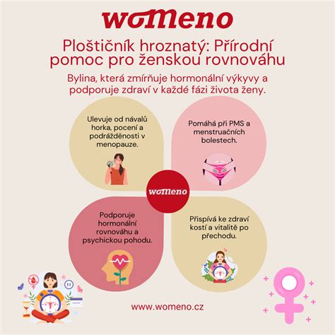 Infografika: Kľúčové účinky kotvičníka zemného na mužské a ženské hormóny