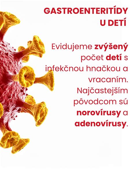 Schéma priebehu gastroenteritídy