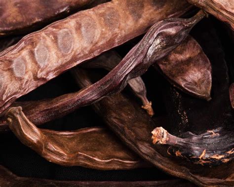 Plody svätojánskeho chleba (karobové struky)