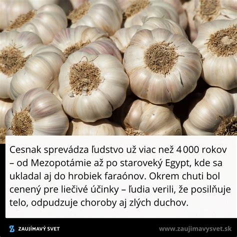 Zmes čerstvého rozmarínu a cesnaku