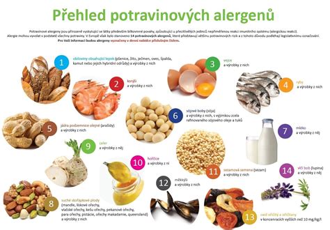 Infografika s ikonami potravinových alergénov