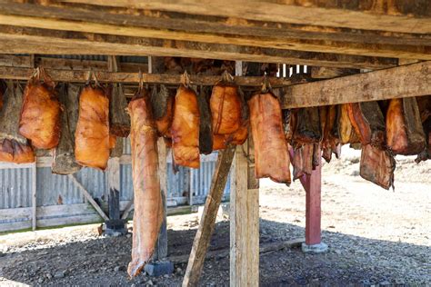 Hakarl - fermentovaný žralok
