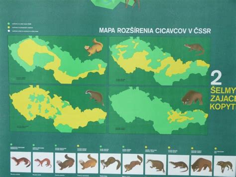Mapa rozšírenia bravčových rezňov v európskej kuchyni