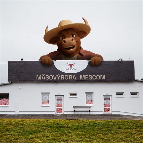 Proces solenia mäsa