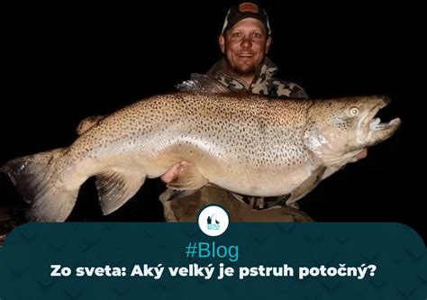 Rôzne druhy pstruhov