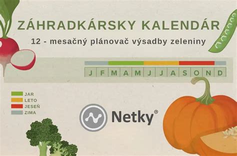 Kalendár výsadby cukety podľa regiónu