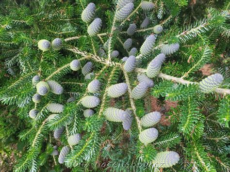 Ilustrácia baktérií v jedle