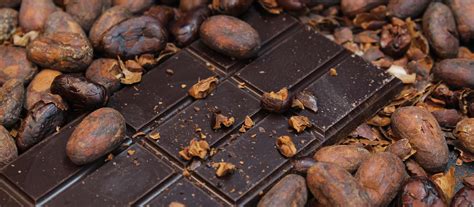 Výroba kakaového prášku z kakaových bôbov