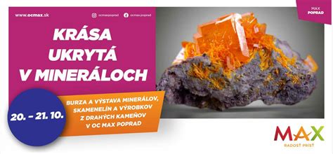 Detailná infografika o vitamínoch a mineráloch v červenej kapuste